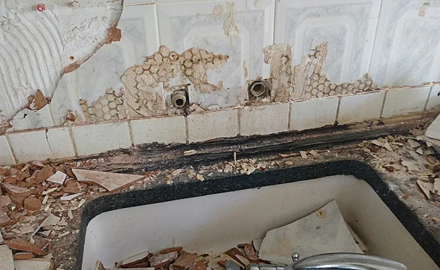 ''מדי לילה פולשים ומשחיתים''