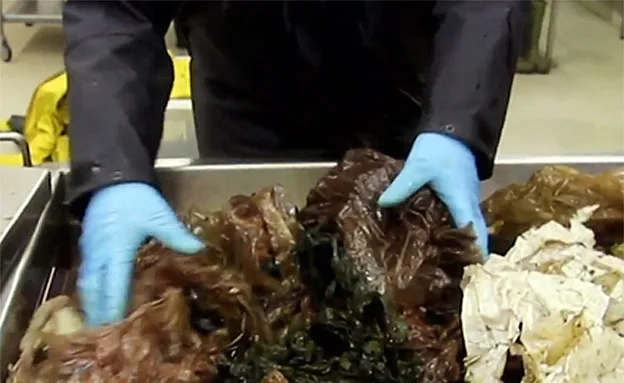 השקיות שנמצאו בתוך הגופות