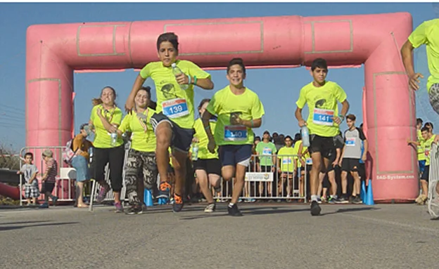 הזנקת המרוץ