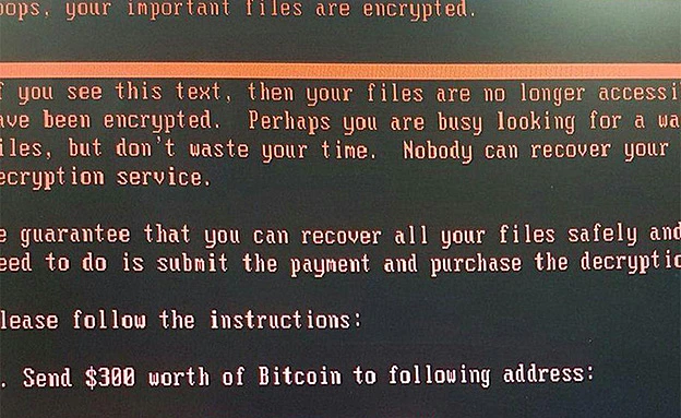 ההודעה שנשלחה למחשבים שהותקפו