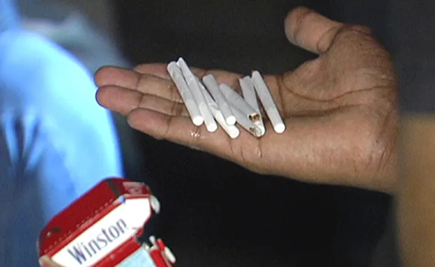 מחפשים את המקור