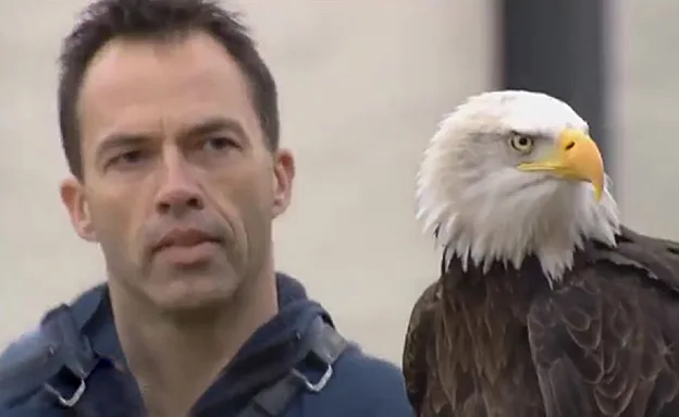 פתרון מתנת הטבע (TOMO)