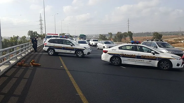 זירת האירוע