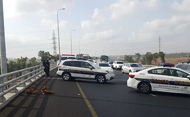 זירת האירוע (דוברות המשטרה)