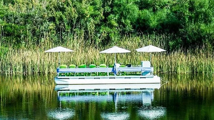 חוף עם זולות. אגם ניצנים