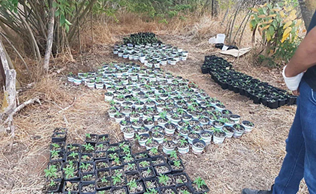 מעצר החשודים הוארך עד יום שלישי (דוברות המשטרה)