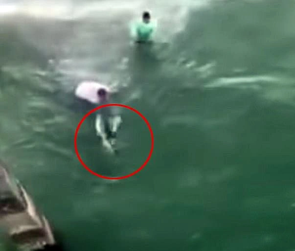 אחד מהם תופס את הכריש בזנבו