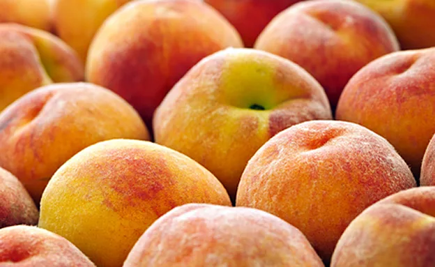 אפרסק עגול וסימטרי