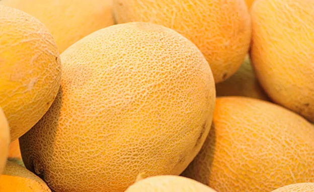 איך בוחרם מלון טוב? תריחו