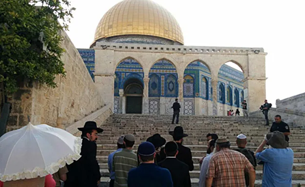 לא נרשמו עימותים עד כה