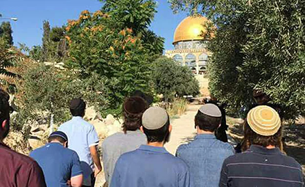 (צילום: מטה ארגוני המקדש)