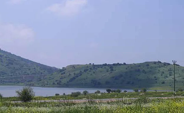 הקלה בעומס החום