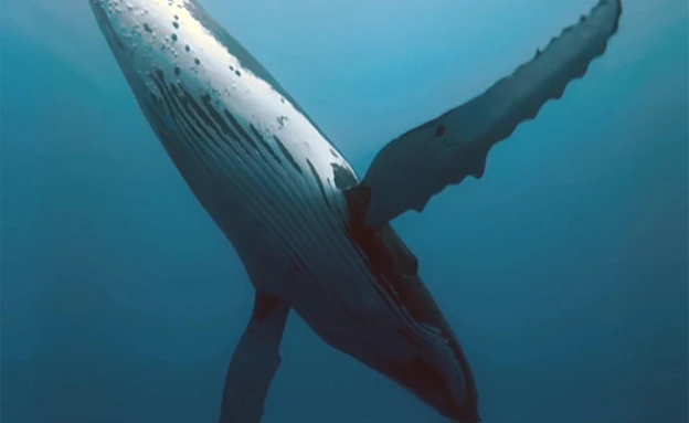 ככל הנראה המשחק הומצא ברוסיה