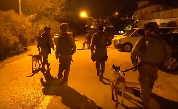 תיעוד מבצע המעצר