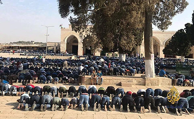 חוגגים את החזרה להר הבית (רויטרס)