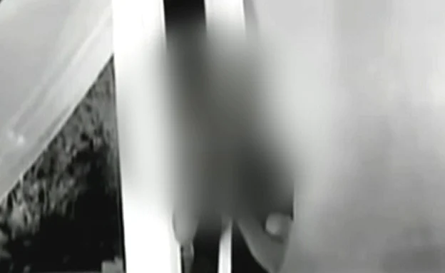 ''היה מטורף על ילדים'', האח (חדשות 2)