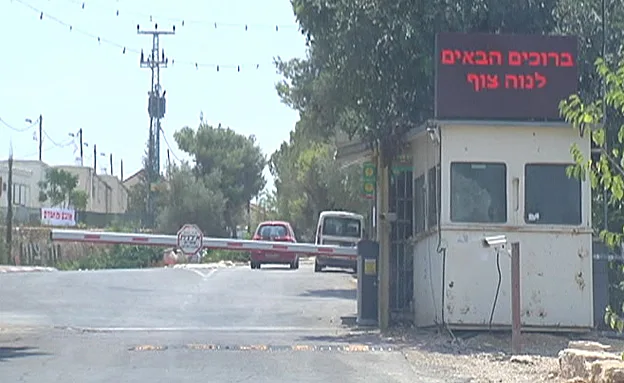 צפו בכתבה המלאה