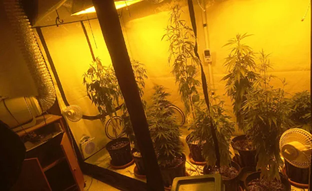 דוברות המשטרה