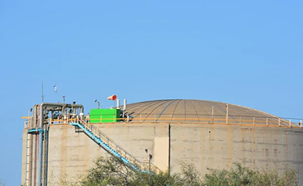 מיכל האמוניה