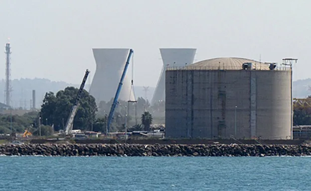 מיכל האמוניה (ליאורה אמיתי)