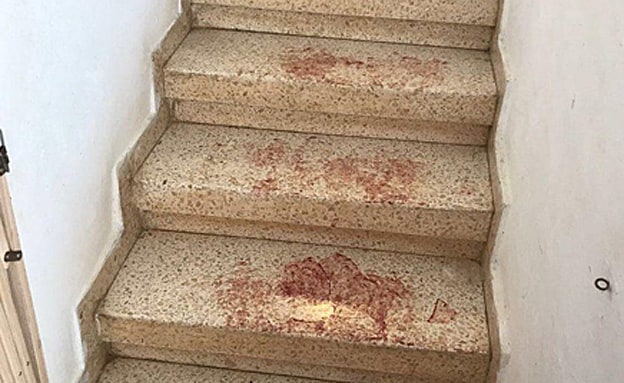 זירת הפיגוע בחלמיש