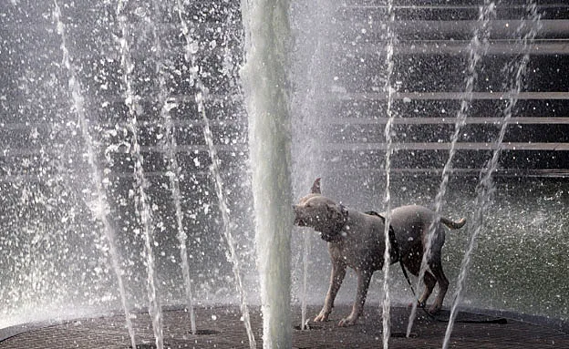 ''צפי לאסונות טבע כבדים'' (רויטרס)