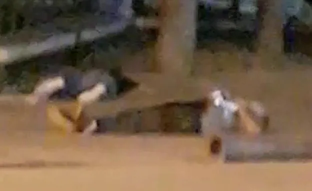 התקרית הביטחונית בקמברליס שמדרום לברצלונ