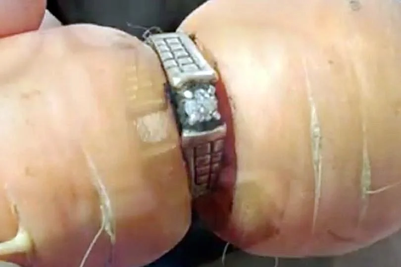 הגזר עם טבעת האירוסין