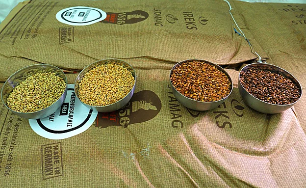 כל בירה מתחילה בלתת, ויש סוגים שונים (חדשות 2)