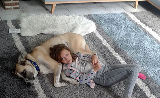 הכלבה נלה עם משפחתה החדשה