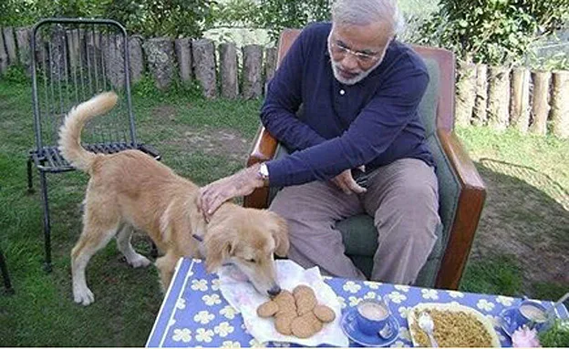 קרוב לצלחת. ראש ממשלת הודו וכלבו
