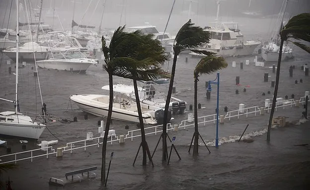 מפלס המים עלה במהירות, פלורידה (רויטרס)
