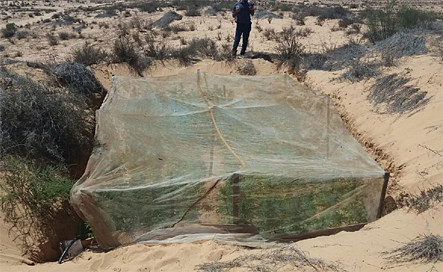 (דוברות המשטרה)