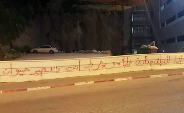 ''אם העיר הפכה לג'ונגל, זה לא אומר שצריך