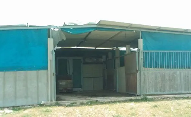 החי בר באריאל, היום