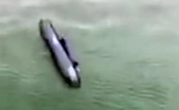 מזרן ים שנסחף עם הרוח