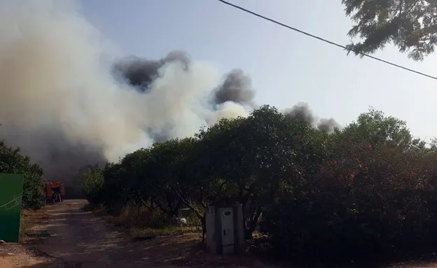 השריפה בשדה ורבורג (היום)