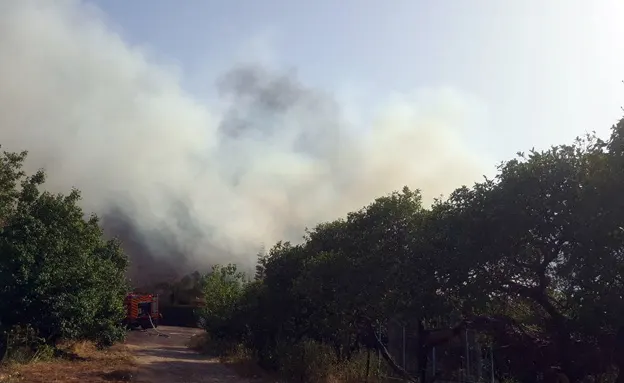 דליקה בשדה ורבורג