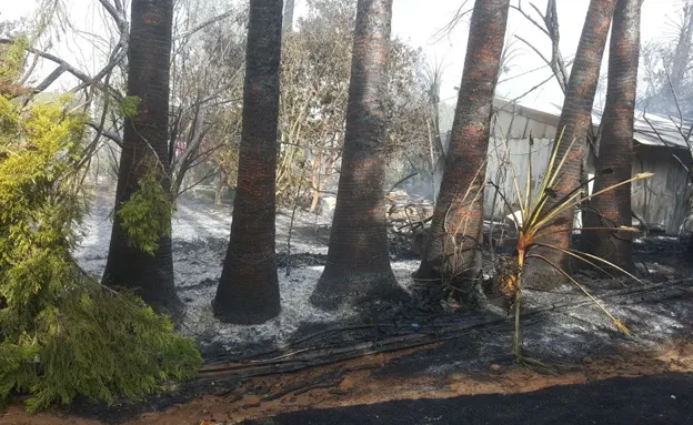 השריפה בשדה ורבורג