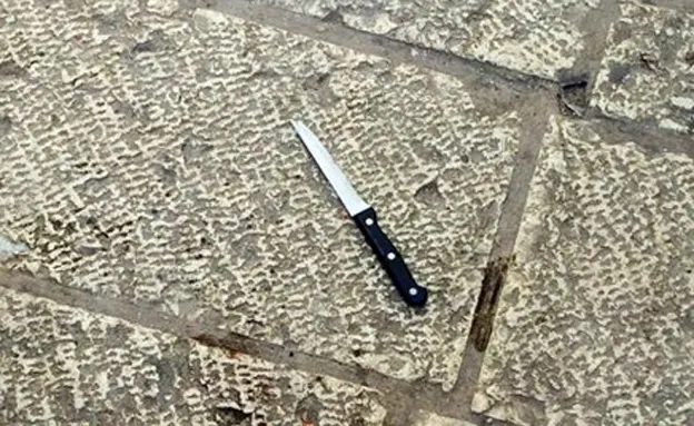 אילוסטרציה