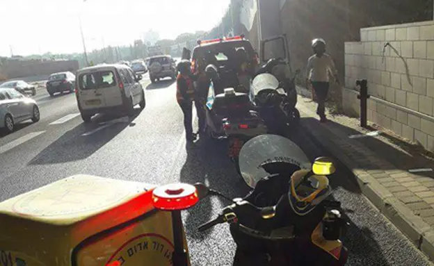 המחבלת חוסלה בזירה. שער שכם