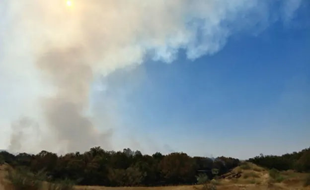 השריפה באזור אשדוד (המשרד להגנת הסביבה)