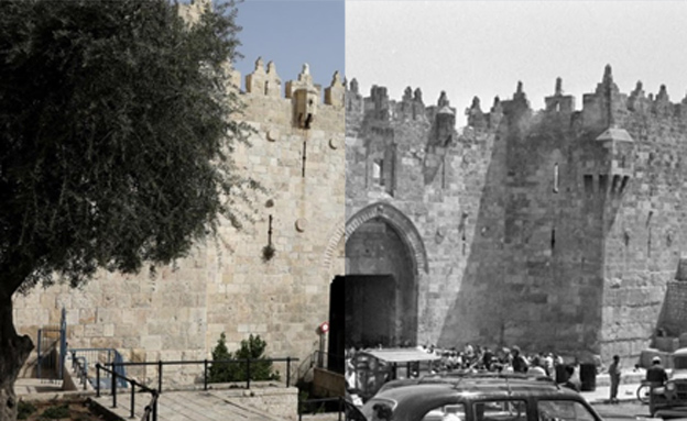 שער שכם
