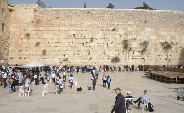 תשופר הנגישות. הכותל המערבי (ארכיון) (תם כינר)