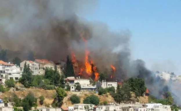 השריפה בצפת. השבוע (מדא)