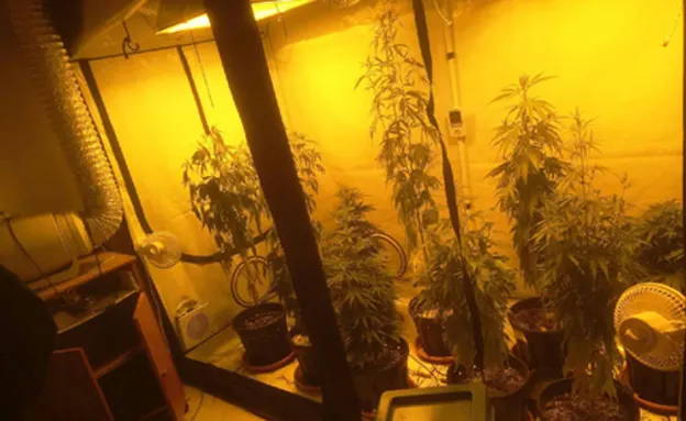 (דוברות המשטרה)