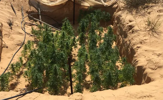 שימוש נרחב ברשתות הסוואה (דוברות המשטרה)