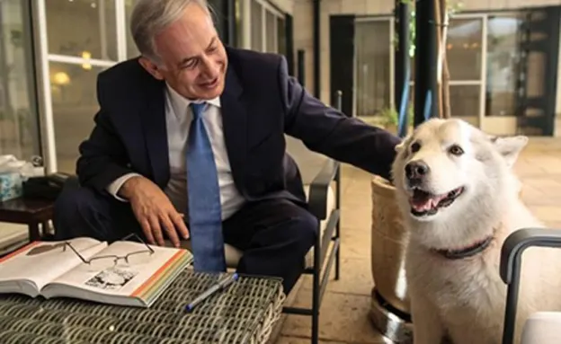 ראש הממשלה נתניהו והכלבה קאיה (פייסבוק)