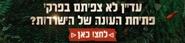 באנר השלמת צפייה בהישרדות, מובייל