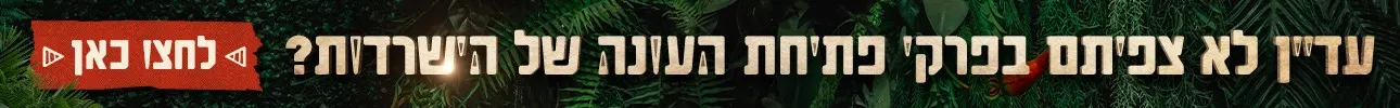 באנר השלמת צפייה בהישרדות, דסקטופ